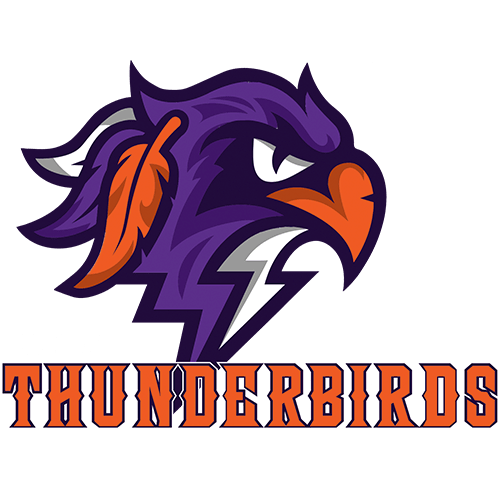 logo for Thunderbirds