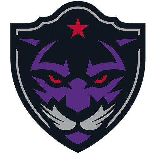 Panther City Logo
